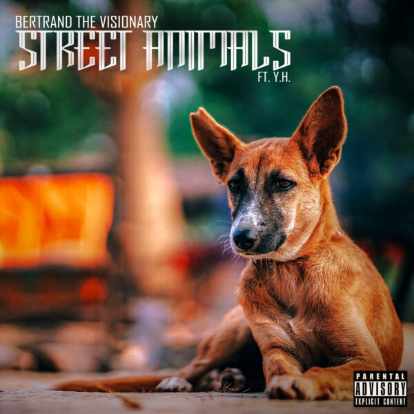 Street Animals - CD Image