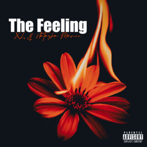 Natasha Marie & X.L. - The Feeling - Cd Cover